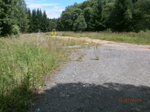 Foto 40